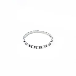 Anillo C3