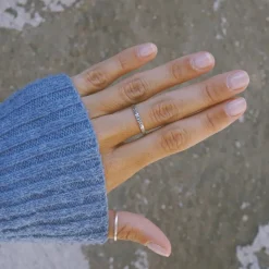 Anillo C1