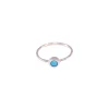 Anillo Earth
