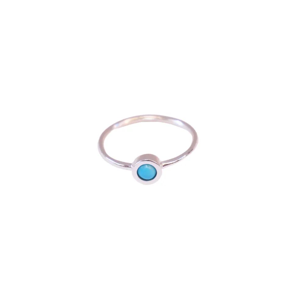 Anillo Earth