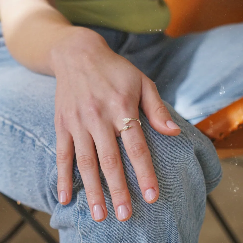 Anillo Flecha