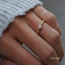 Anillo Lazo