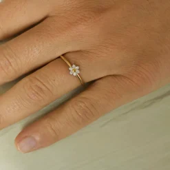 Anillo Marga