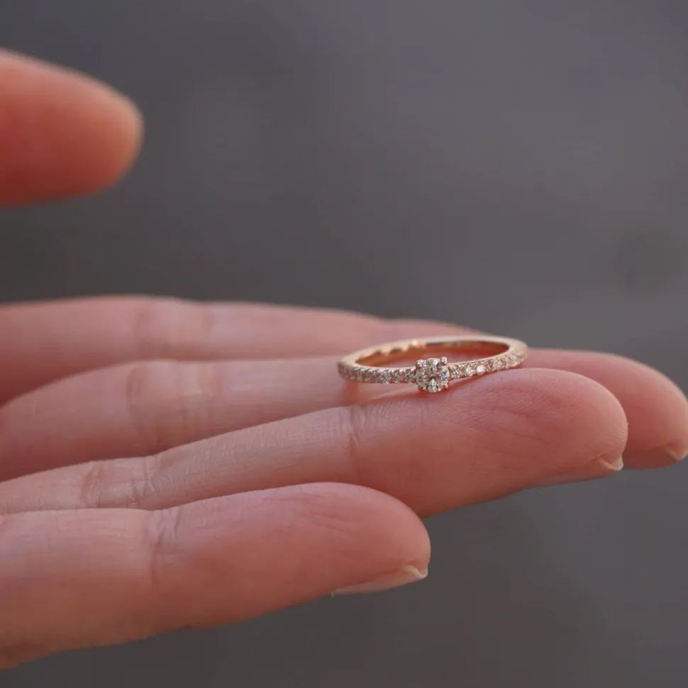 Anillo Maui