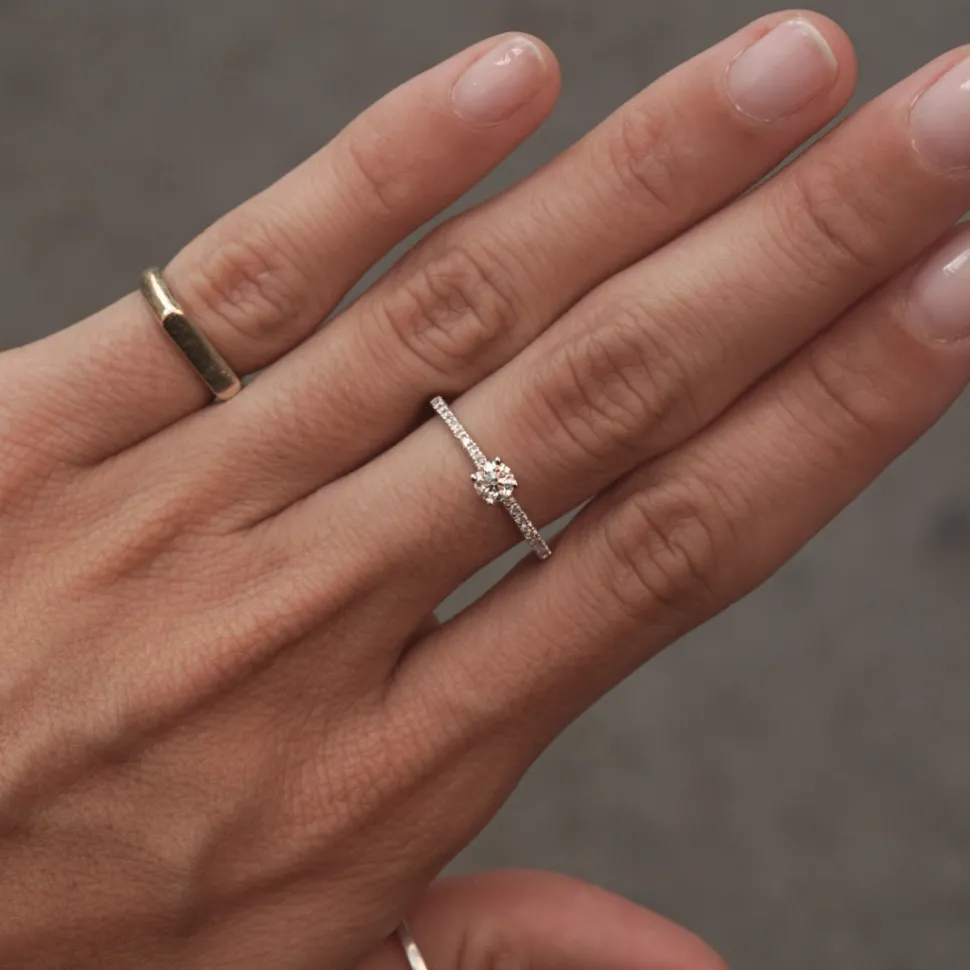 Anillo Maui