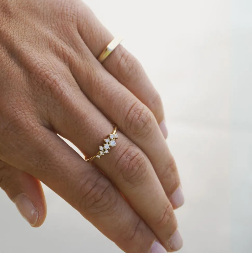 Anillo Reve