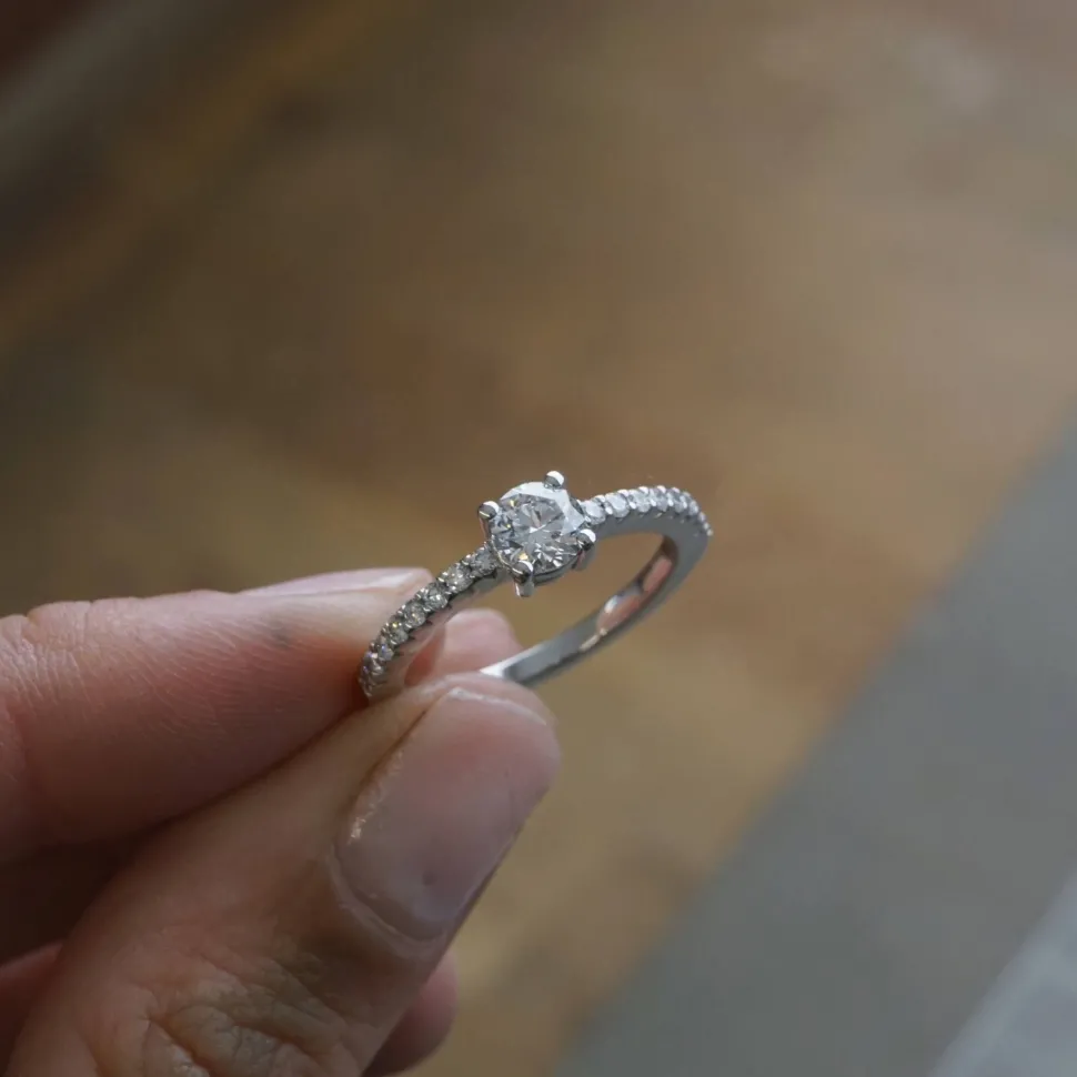 Anillo Versalles
