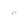 Pendientes Dam